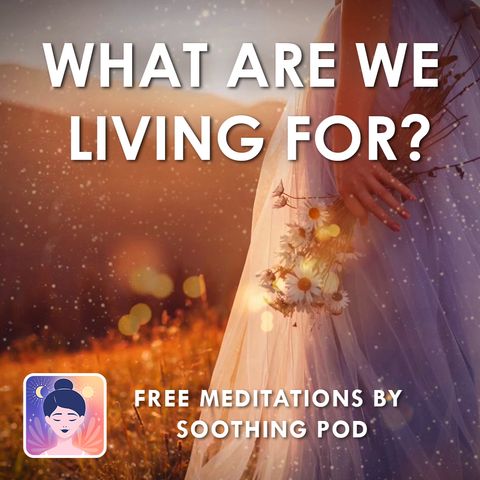 Daily Mindfulness | Meditate: What are we Living for 🐚 | Peace and Happiness Guided Meditation