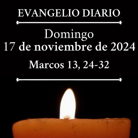 Evangelio del domingo 17 de noviembre de 2024 (Marcos 13, 24-32)