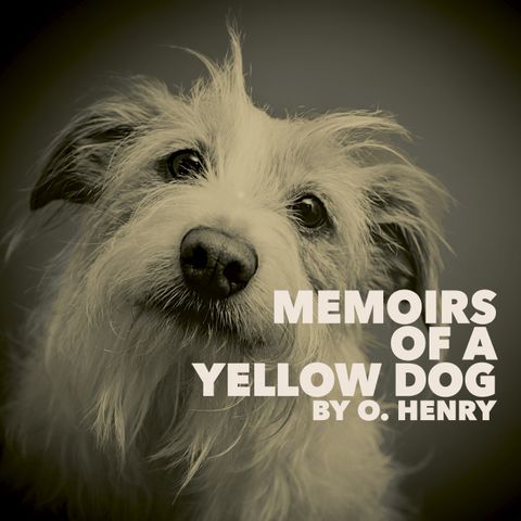 Memoirs of a Yellow Dog by O. Henry