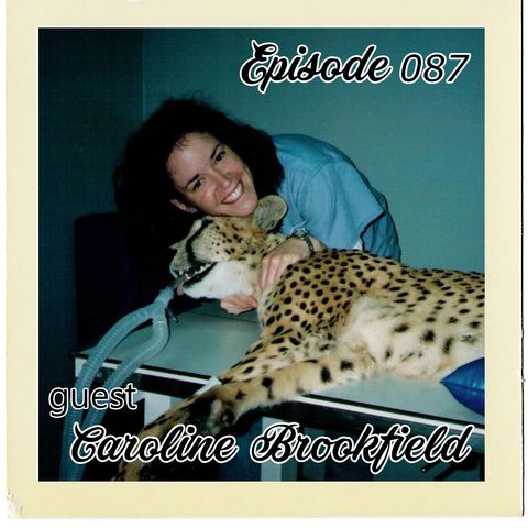 The Cannoli Coach: Creativity is Like Poop---Everyone is Full of It w/Dr. Caroline Brookfield | Episode 087