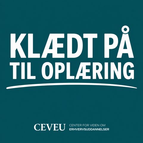 Opsamling efter VFU