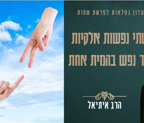 הרב איתיאל גלעדי | שתי נפשות אלקיות נגד נפש בהמית אחת | עלון נפלאות לפרשת שמות