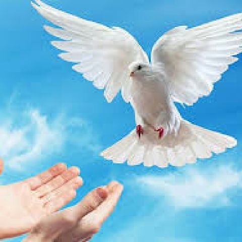 Espiritu De Dios Ven A Mi Vida