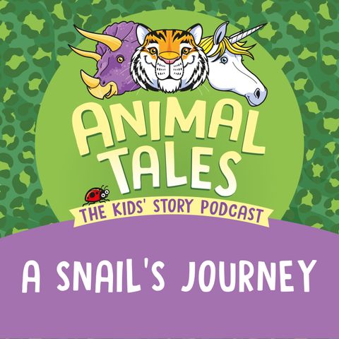 A Snail's Journey