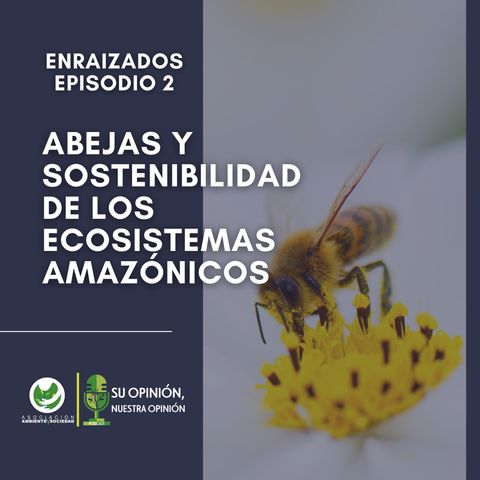 Abejas y sostenibilidad de los ecosistemas amazónicos