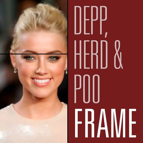 Johnny Depp, Amber Heard and the Poo That Launched Men's Rights | Maintaining Frame 15