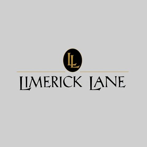 Limerick Lane - Jake Bilbro