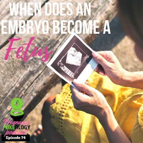 When Does An Embryo Become A Fetus? Growing Babies Journey! Pregnancy Podcast Pukeology Ep. 74