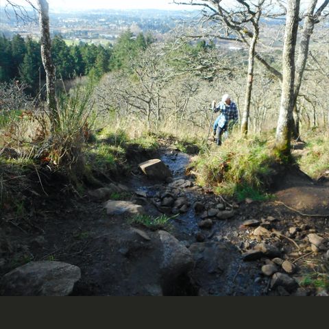 Churchill Dr. Hike