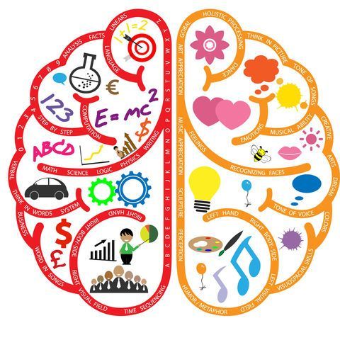 La Neurociencia en el Aprendizaje