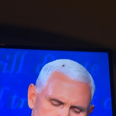 Fly on Mike Pence head said it all!!!