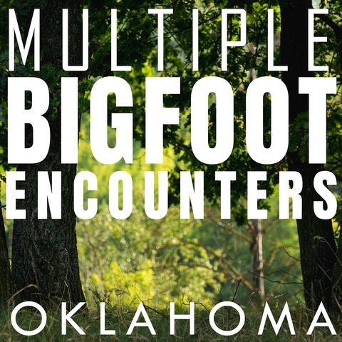 MULTIPLE BIGFOOT ENCOUNTERS FROM OKLAHOMA | THE CREATURE WAS SURPRISED TO SEE ME!!!