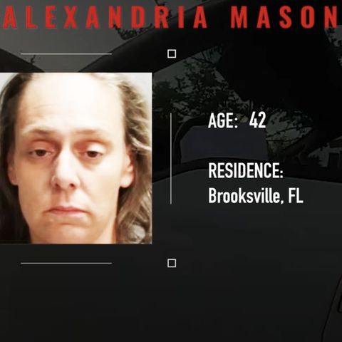 Alleged Meth User Goes Full Florida Woman in High-Speed Chase