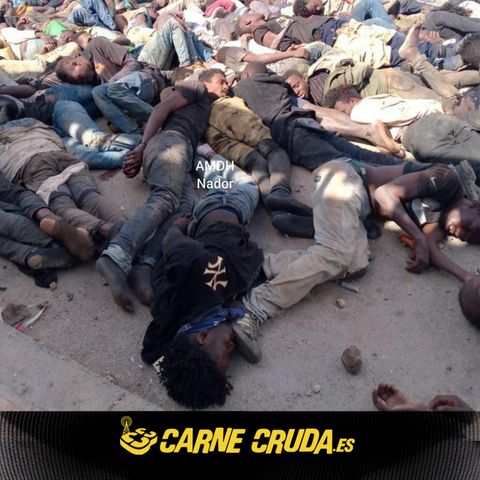 La masacre de Marruecos avalada por Sánchez (CARNE CRUDA #1079)