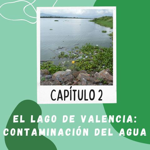 Capítulo 2. El Lago de Valencia: Contaminación del Agua.