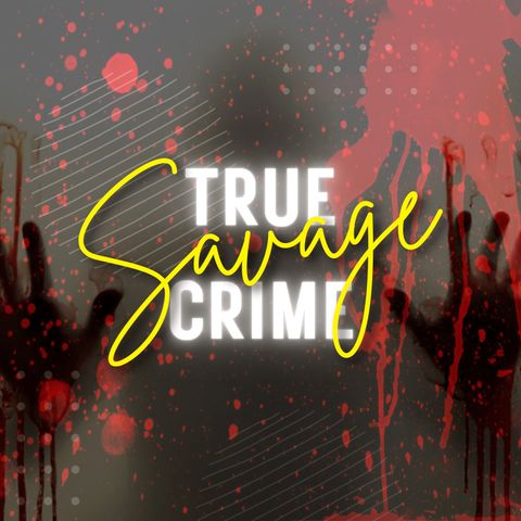 Alex Murdaugh Murders Trial | True Crime Podcasts | Closing Arguments | Drug Gang Related?