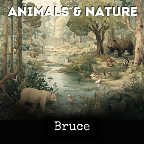 Jungle Book (Version 2)-Rudyard Kipling
