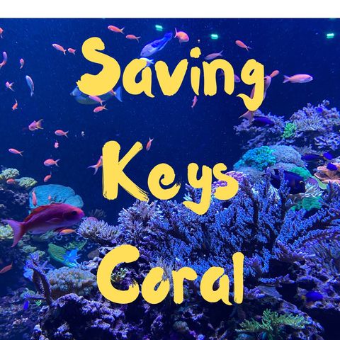 Coral Crossbreeding -- Keri O' Neil FL Aquarium
