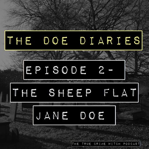 Doe Diaries #2 - The Sheep Flats Jane Doe
