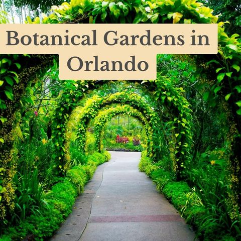 Discover the Serenity Botanical Gardens in Orlando