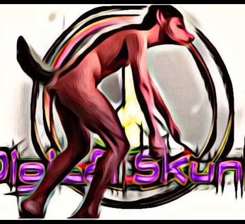 Digital Skunk Music Extravaganza