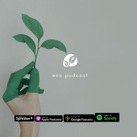Ep.03 | Nutripodcast - Il Greenwashing