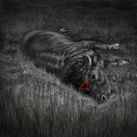 The Buffalo Ranch Encounters