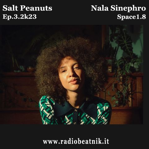 Salt Peanuts Ep. 03.2k23 Nala Sinephro