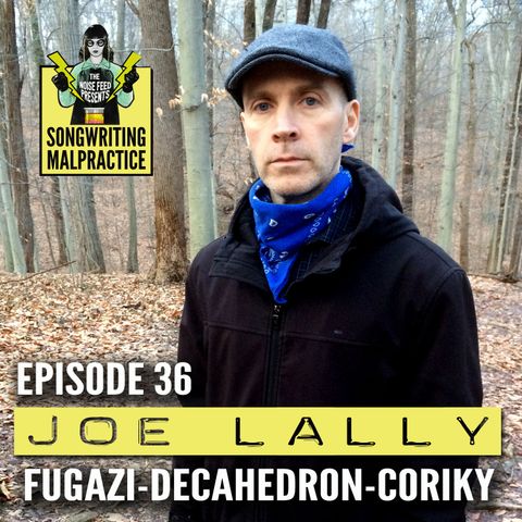 Episode #36 Joe Lally (Fugazi)