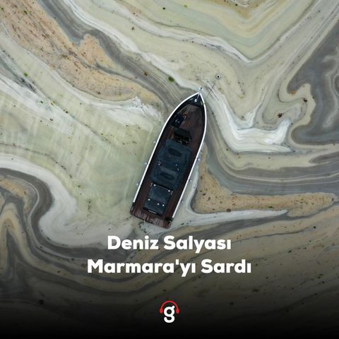 Deniz Salyası(Müsilaj)Marmara'yı Sardı | Marifet Gibi