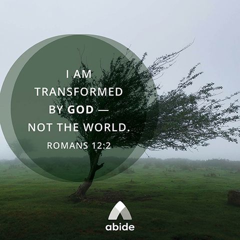 How to Transform Your Life