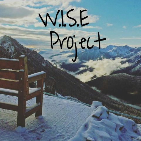 W.I.S.E. Project