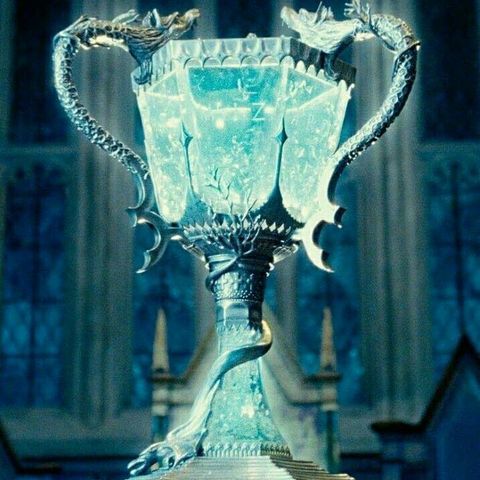 The Goblet of Fire Quiz
