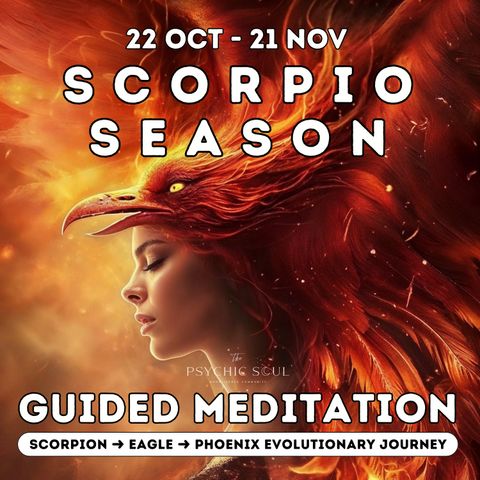 Scorpio Season Guided Meditation for Transformation & Rebirth | Release & Renew | 22 Oct - 21 Nov