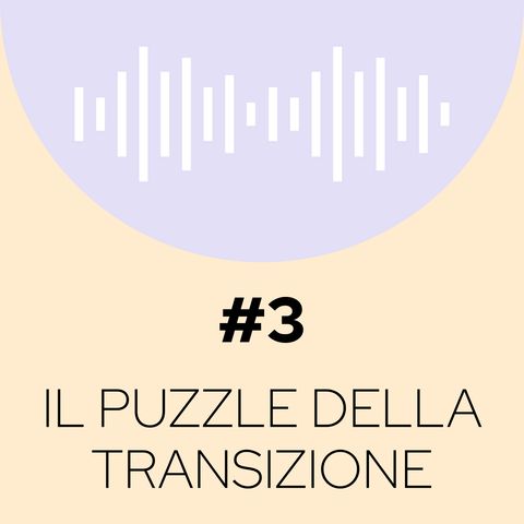 3 - Il "puzzle" della transizione