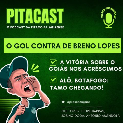 Pós-jogo Palmeiras x Goiás | Gol contra de Breno Lopes | Te cuida, Botafogo!