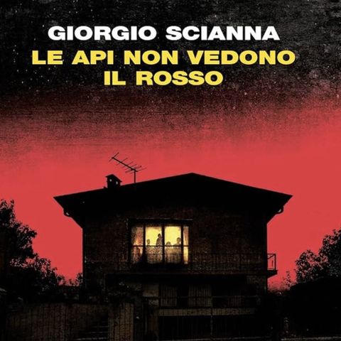 Intervista a Giorgio Scianna - parte 2
