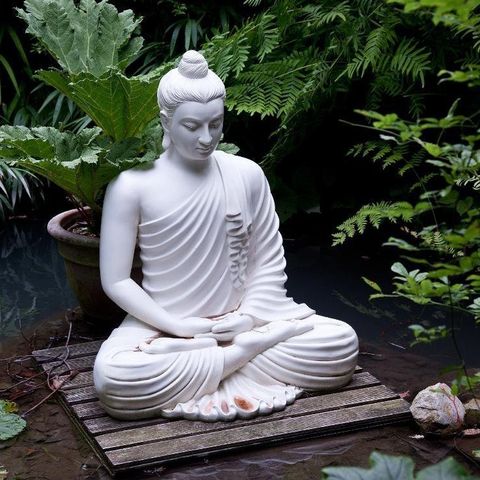 Sexto dia de Meditação