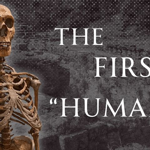 Humanity Before Neanderthals, Human Voiced