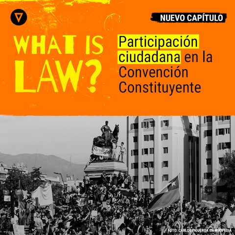 Capítulo 27 -  Participación ciudadana en la Convención Constituyente