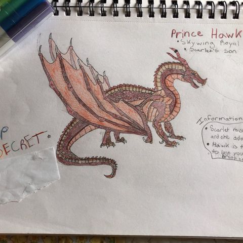 Wings of Fire characters based on Tui T. Sutherland’s Wings of fire books