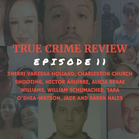 Ep. 11: The Disappearance of Sherri Vanessa Holland