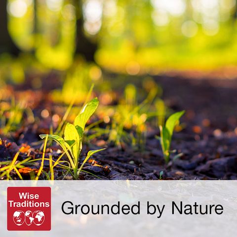 328: Grounded by Nature