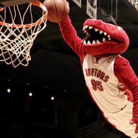 Toronto Raptors 2019 NBA Champions!