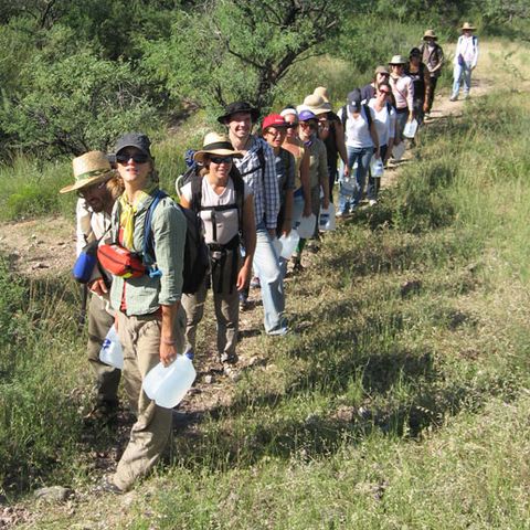 Border Patrol Ordered to Negotiate with Illegal Immigrants in Arizona +