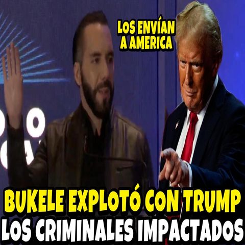 NAYIB BUKELE EXPLOTÓ CON DONALD TRUMP TRAS LIBERAR A LOS PANDILLEROS