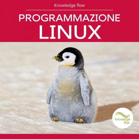 Programmazione Linux: shell, file e processi per principianti