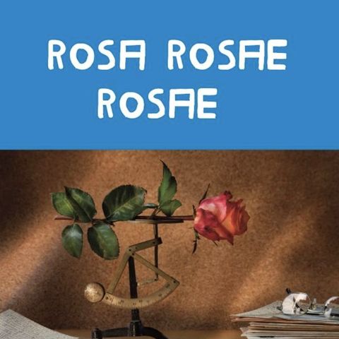 Rosa Rosae Rosae