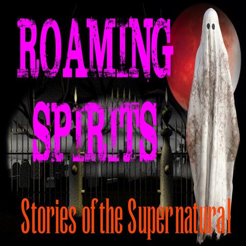 Roaming Spirits | Interview with Connie Meckes from Blood Moon Paranormal | Podcast