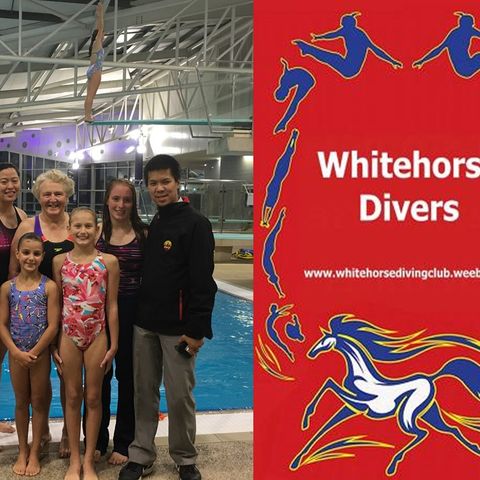 SSS: WHITEHORSE DIVING CLUB 140318